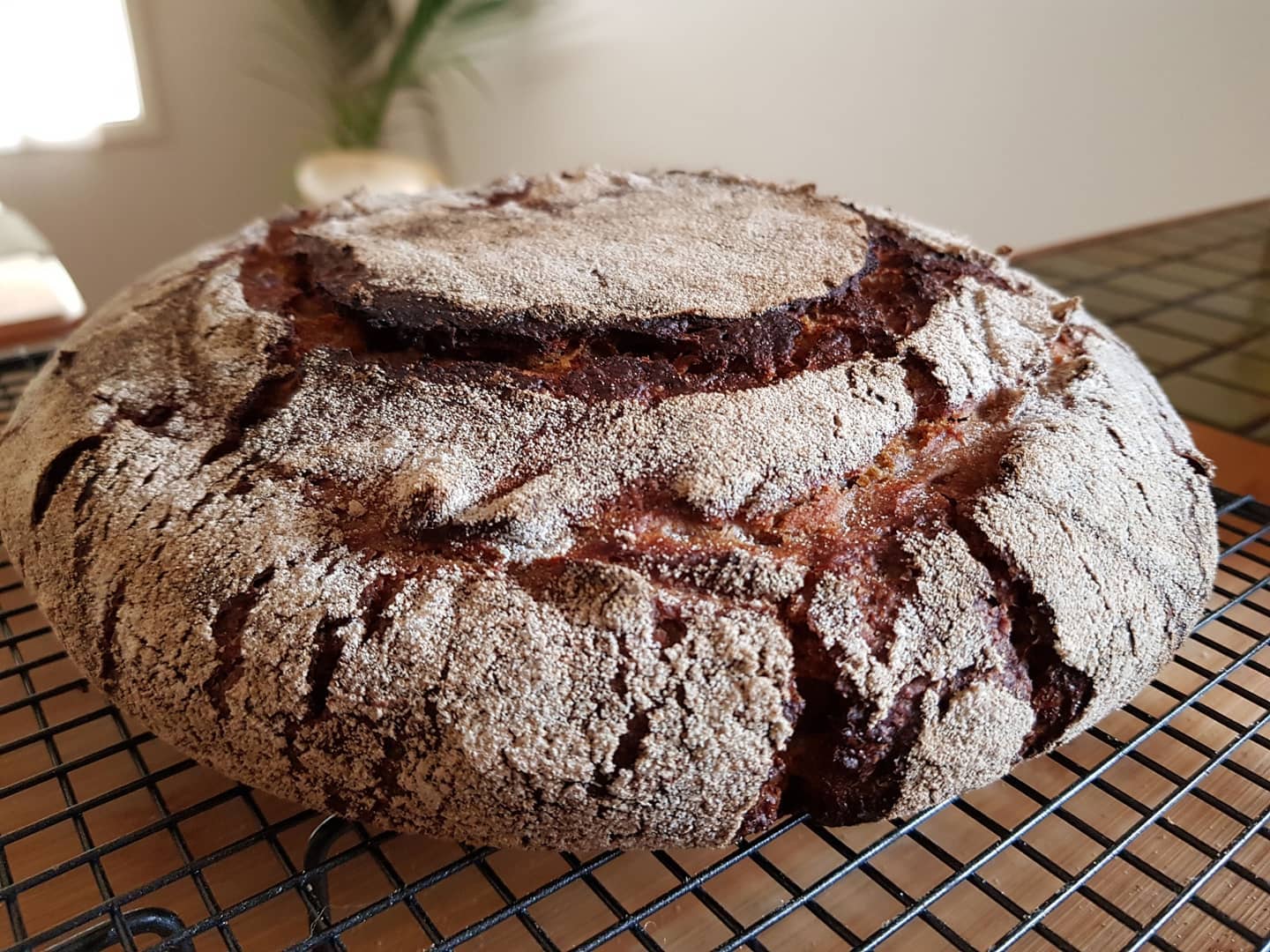 Dark Rye Sourdough Bread One Loaf Finding Feasts